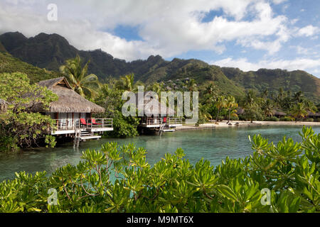 Bungalow sul mare con palme nella parte anteriore del green Hills Hotel di lusso, Interconti Resort Moorea, Isole della Società Foto Stock