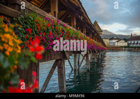 La molla fioriture dei fiori sul ponte sul fiume in Lucerna svizzera Foto Stock