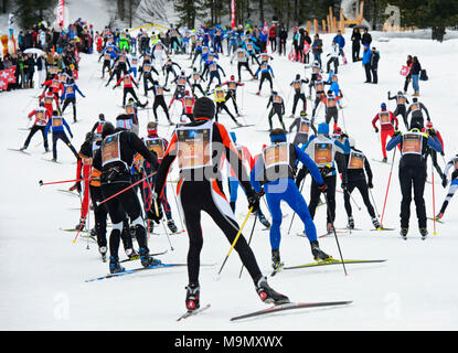 I fondisti alla Engadin Skimarathon in Stazer Wald, cinquantesimo Engadin Skimarathon, San Moritz, Svizzera Foto Stock