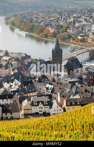 Vista dal vigneto in autunno, Bernkastel-Kues, Moselle, Renania-Palatinato, Germania Foto Stock