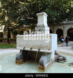 Fontana Romana in Arte nel giardino del museo, ex Abbazia Saint-Pierre, Lione, Francia Foto Stock