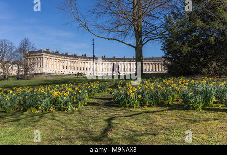 Spring Daffodils nel Royal Victoria Park, Bath, con la Royal Crescent sullo sfondo, Somerset, Inghilterra, Regno Unito. Un Centro Patrimonio Mondiale dell'UNESCO. Foto Stock