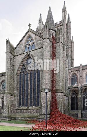 Rosso papavero ceramica cadere dalla finestra di pianto di Hereford cattedrale transetto nord Foto Stock