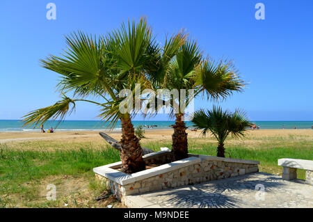 Panorama di palme nane e la bellissima spiaggia, Donnalucata, Ragusa, Sicilia, Italia Foto Stock