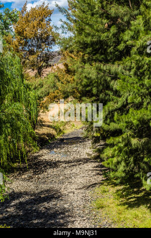 Vista del fiume Hunter, Superiore Hunter, NSW, Australia, come si vede dal ponte di campane, nel febbraio 2018, durante il periodo di siccità. Foto Stock