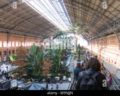 Madrid, Spagna - 27 Gennaio 2018: Tropical green house, ubicazione nel XIX secolo la stazione ferroviaria di Atocha di Madrid in Spagna. Foto Stock