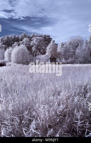 Vista a raggi infrarossi attraverso i prati ed alberi di Frensham laghetto nel Surrey Hills AONB, Inghilterra, Regno Unito. Foto Stock