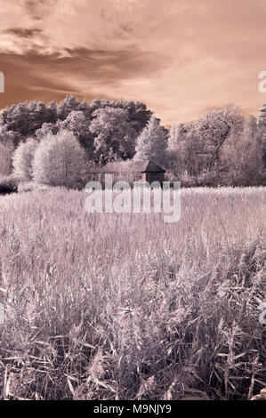 Vista a raggi infrarossi attraverso i prati ed alberi di Frensham laghetto nel Surrey Hills AONB, Inghilterra, Regno Unito. Foto Stock