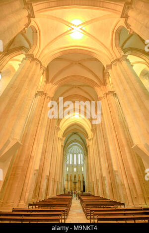 Alcobaca, Portogallo - Agosto 15, 2017: interno della navata centrale del monastero di Alcobaca o Mosteiro de Santa Maria de Alcobaca in Portogallo centrale.fondo di architettura.Patrimonio Unesco.colpo verticale Foto Stock