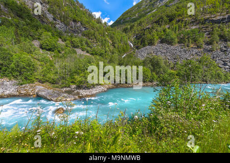 Fiori Selvatici presso la riva del fiume, Norvegia, paesaggio di Jostedalen e sulle montagne circostanti, Jostedalsbreen Parco Nazionale Foto Stock