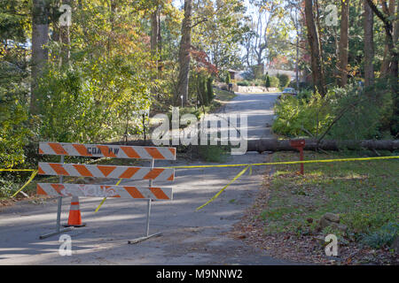 Nastro giallo, una diga recinzione e costruzione di cono di bloccare l'accesso a dove un grande albero e fili di utilità sono caduti su una strada di quartiere Foto Stock