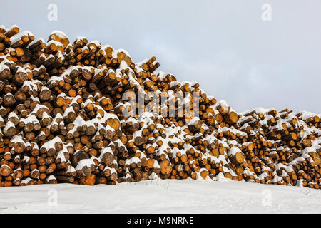 Tronchi di legno ricoperto di neve impilate accanto alla strada. Foto Stock