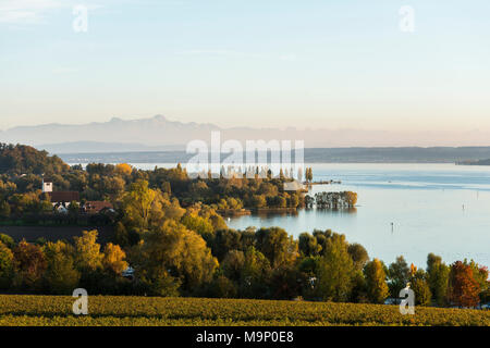 Vista sul lago di Costanza, in retro alpi svizzere con il Säntis, Uhldingen-Mühlhofen, Lago di Costanza, Baden-Württemberg, Germania Foto Stock