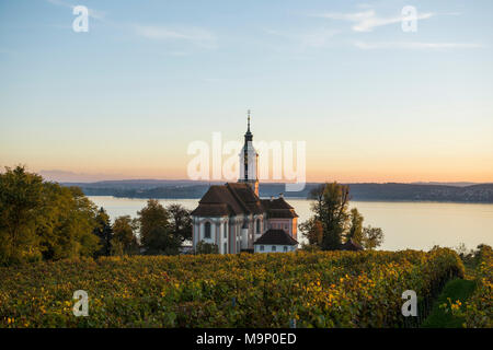 Chiesa di pellegrinaggio Birnau con vigneti in autunno, luce della sera, Uhldingen-Mühlhofen, Lago di Costanza, Baden-Württemberg Foto Stock