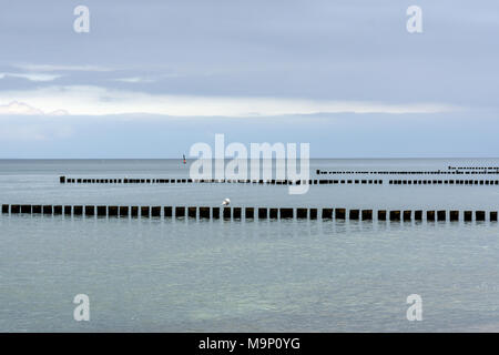 Pennelli, uno dietro l'altro, del Mar Baltico spiaggia vicino a Zingst, Fischland-Darß-Zingst, Western Pomerania Area Laguna Parco Nazionale Foto Stock