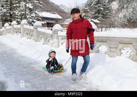 Il padre è il traino il suo bambino su una slitta su un ponte in pietra i boschi innevati del Seoraksan National Park, Gangwon-do, la Corea del Sud. Sullo sfondo di un tempio buddista. Seoraksan è un bellissimo e iconico Parco Nazionale delle montagne vicino Sokcho nella regione del Gangwon-do di Corea del Sud. Il nome si riferisce a balze innevate montagne. Insieme contro il paesaggio sono due templi buddisti: Sinheung-sa e Beakdam-sa. Questa regione è di ospitare le Olimpiadi invernali nel febbraio 2018. Foto Stock