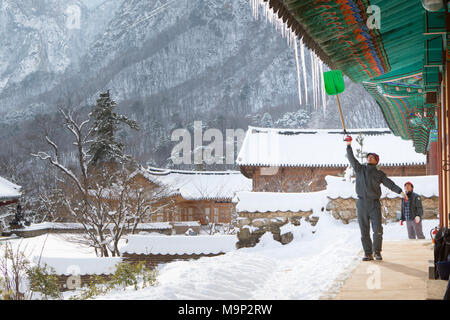 Un monaco è la rimozione del ghiaccio dal tetto del Sinheung buddista-sa tempio in Seoraksan National Park, Gangwon-do, la Corea del Sud. Seoraksan è un bellissimo e iconico Parco Nazionale delle montagne vicino Sokcho nella regione del Gangwon-do di Corea del Sud. Il nome si riferisce a balze innevate montagne. Insieme contro il paesaggio sono due templi buddisti: Sinheung-sa e Beakdam-sa. Questa regione è di ospitare le Olimpiadi invernali nel febbraio 2018. Seoraksan è un bellissimo e iconico Parco Nazionale delle montagne vicino Sokcho nella regione del Gangwon-do di Corea del Sud. Il nome si riferisce a balze innevate montagne. Impostare Foto Stock