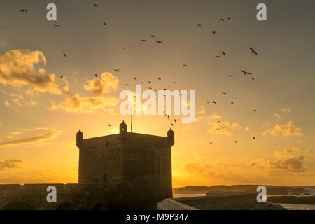 Tramonto dietro Scala du Port Harbour tower con battenti gabbiani, Essaouira, Marocco Foto Stock
