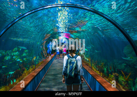 Giovane donna, visitatore in acquario tunnel, sotto aquarium, Loro Parque Loro Parque, Puerto de la Cruz, Tenerife, Isole Canarie, Spagna Foto Stock