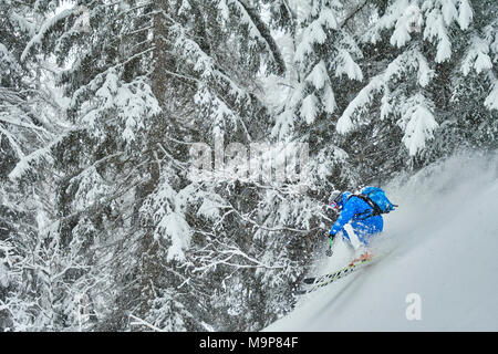 Sciatore sci discesa pendio ripido, il Pavillon, Courmayeur, Aosta, Italia Foto Stock