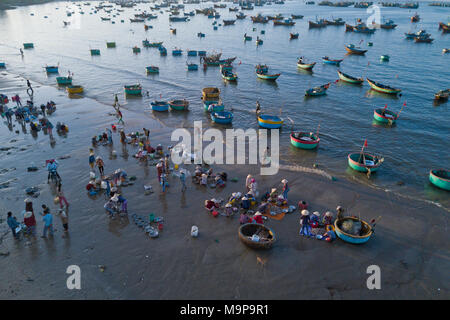 I pescatori sulla spiaggia con il pesce appena pescato, molte colorate barche da pesca in mare, vista aerea, nei pressi di Mui Ne, Vietnam Foto Stock