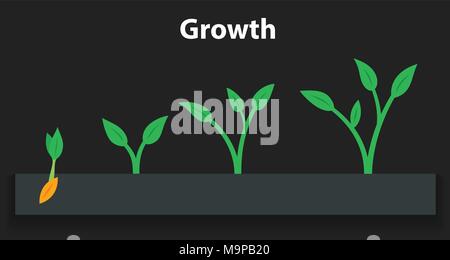 Il processo di crescita delle piante. Stadi e timeline ed infografico di piantare. Illustrazione Vettoriale