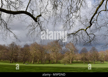 Londra, Regno Unito. Il 27 marzo 2018. Meteo REGNO UNITO: Pomeriggio luce nel verde parco. Credito: Stephen Chung / Alamy Live News Foto Stock