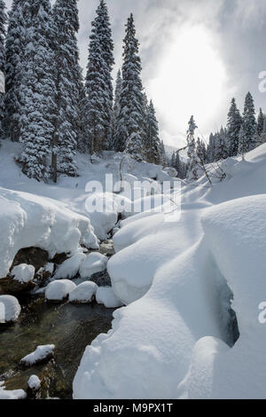 Paesaggio invernale, coperta di neve stream, Hochfügen, Zillertal, Tirolo, Austria Foto Stock