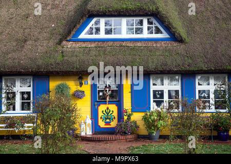 Tipici giallo con tetto di paglia house, nato am Darß, Fischland-Darß-Zingst, Meclenburgo-Pomerania Occidentale, Germania Foto Stock