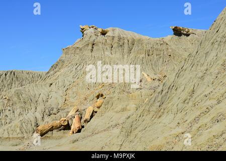 Pietrificato di tronchi di alberi esposti da erosione nella foresta pietrificata, Bosque Petrificado José Ormachea, Sarmiento, Chubut Foto Stock