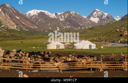 Gregge di capre (capra) e yurta di nomadi con le montagne nella parte posteriore, Mongolia Foto Stock