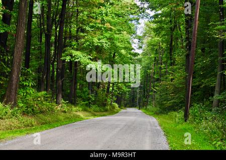 Apparentemente infinita strada rurale attraverso una foresta in estate. Foto Stock