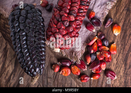 Rosso e nero cimelio di tutoli di mais da Ecuador Foto Stock