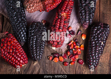 Rosso e nero cimelio di tutoli di mais da Ecuador Foto Stock