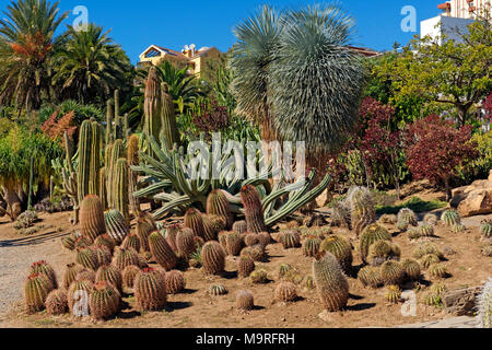 L'Europa, Spagna, Andalusia, Benalmádena Costa, Avenida Federico García Lorca, Parque de La Paloma, Jardin de Cactus y otras Uculentas, il giardino dei cactus, in Foto Stock