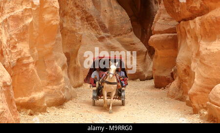 PETRA, GIORDANIA - MARZO 13, 2016: un carrello attraverso il Siq Canyon che conduce al tesoro (Al Khazneh) Foto Stock