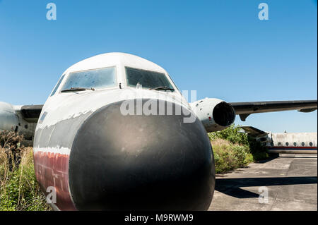 La natura assume abbandonato Fairchild aeroplani di CATA Linea Aerea a Moron Aeroporto di Buenos Aires, che mostra qui un dettaglio del naso e cockpit Foto Stock