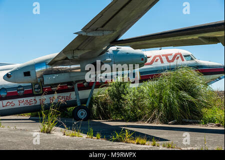 La natura assume abbandonato Fairchild aeroplani di CATA Linea Aerea a Moron Airport in Buenos Aires, underwing e motore Foto Stock