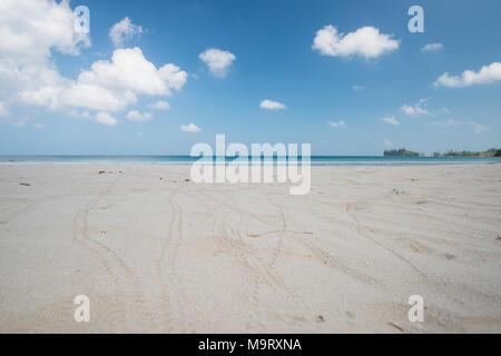 Baby turtle sentieri nella sabbia, Kudat, Sabah, Malesia, Borneo Foto Stock