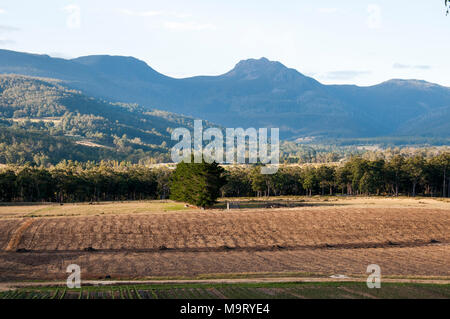 Il paesaggio pastorale nella Valle di Huon, Sud Tasmania, Australia Foto Stock