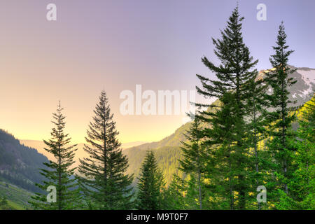 Vista panoramica del monte Rainier National Park, nello Stato di Washington, USA Foto Stock