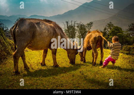 Asien, Südostasien, Nordvietnam, Vietnam, Sapa, Berge, Bergwelt Foto Stock