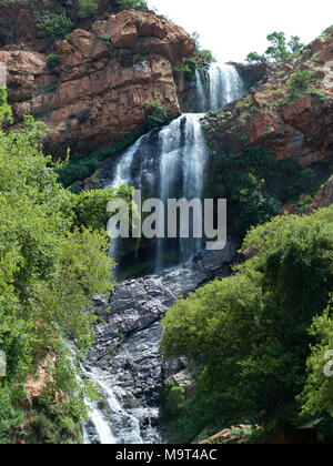 Witpoortjie cade sul fiume dei coccodrilli, Walter Sisulu giardini, Sud Africa Foto Stock