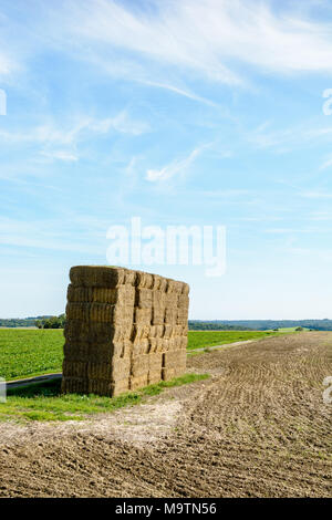 Inizio in autunno, dopo aver raccolto il grano, i gambi secchi di grano sono raccolte in balle di paglia che vengono quindi impilati nel campo prima di bein Foto Stock