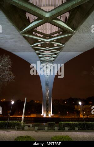 Ponte da Arrábida sobre o rio Douro ligando o Porto a Vila Nova de Gaia Foto Stock