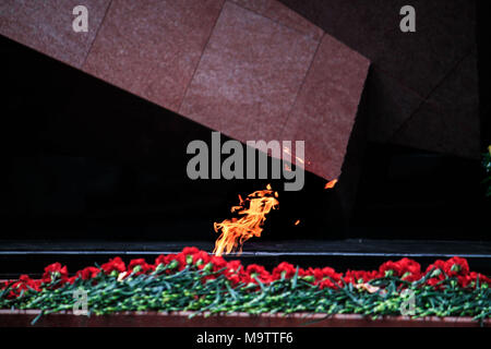 Ci sono un sacco di fiori di garofano e la fiamma eterna sullo sfondo nero su una vittoria giorno come un simbolo della memoria dei guerrieri morti Foto Stock