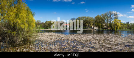 Samchiki, Ucraina - 17 Aprile 2017: il Palazzo ed il parco ensemble Samchiki nel villaggio di Samchiki, Ucraina Foto Stock