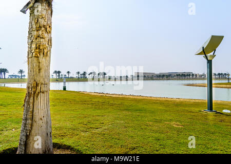 Un sacco di verdi palme e luci moderne e terreno erboso ad un parco locale in Arabia Saudita Foto Stock