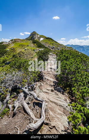 Sentiero escursionistico dalla montagna di Gasselhoehe Rippetegg a Reiteralm in Stiria, Austria Foto Stock