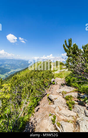 Sentiero escursionistico dalla montagna Reiteralm per Gasselhoehe e distante la gamma della montagna Dachstein in Stiria, Austria Foto Stock